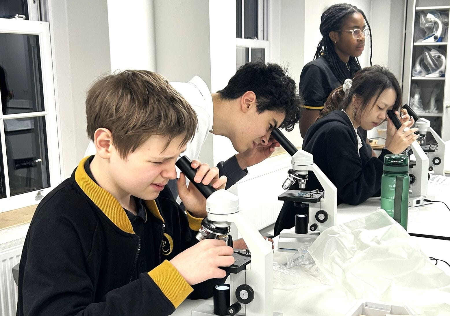 Inside Biology Club: Exploring Cheek Cells Up Close - Biology Club