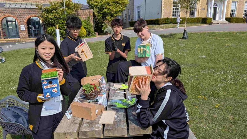 Supporting Local Wildlife Through Student-Led Action | OIC Brighton - Supporting Local Wildlife Through Student Led Action